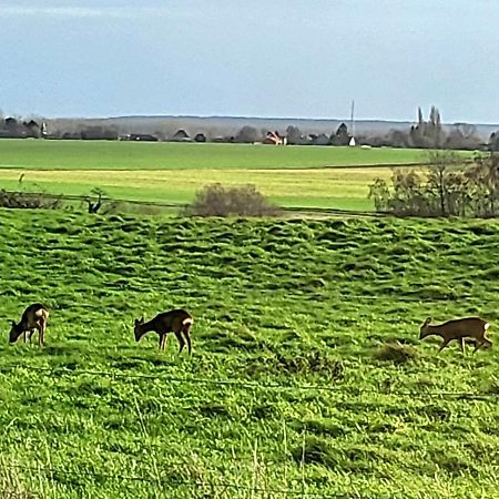 Vila Le Pre En Bulles Lespesses Exteriér fotografie